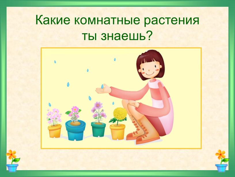 Какие комнатные растения ты знаешь?