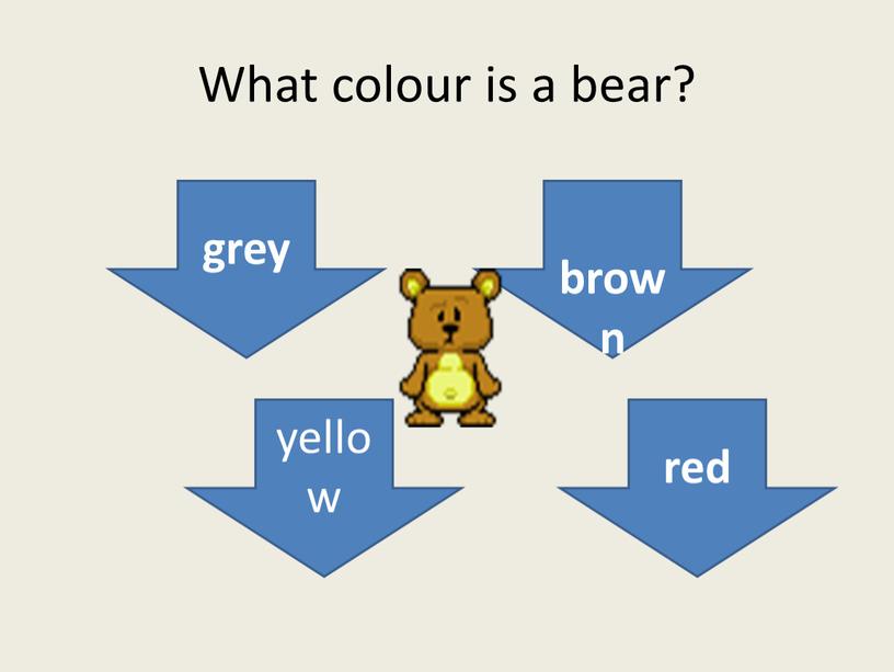 What colour is a bear? grey brown yellow red