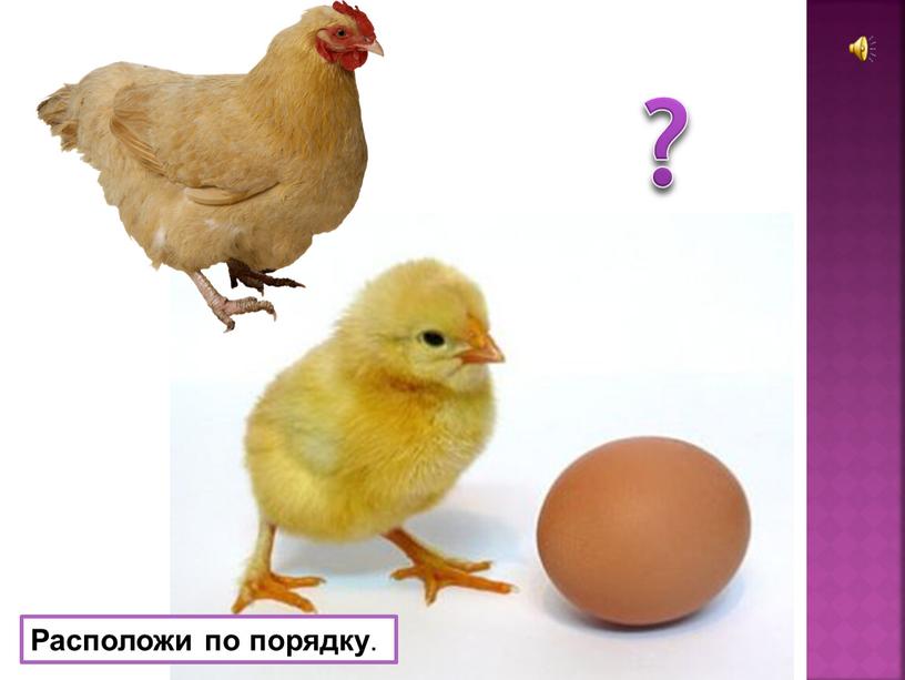 ? Расположи по порядку .