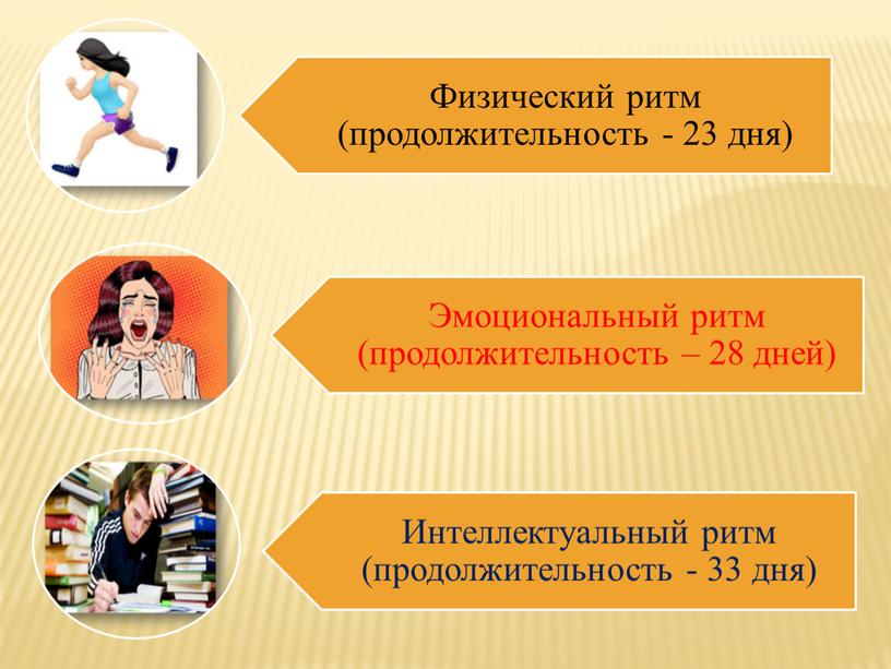 Презентация к бинарному уроку (Биология+Информатика) по теме "Моделирование биологических процессов"