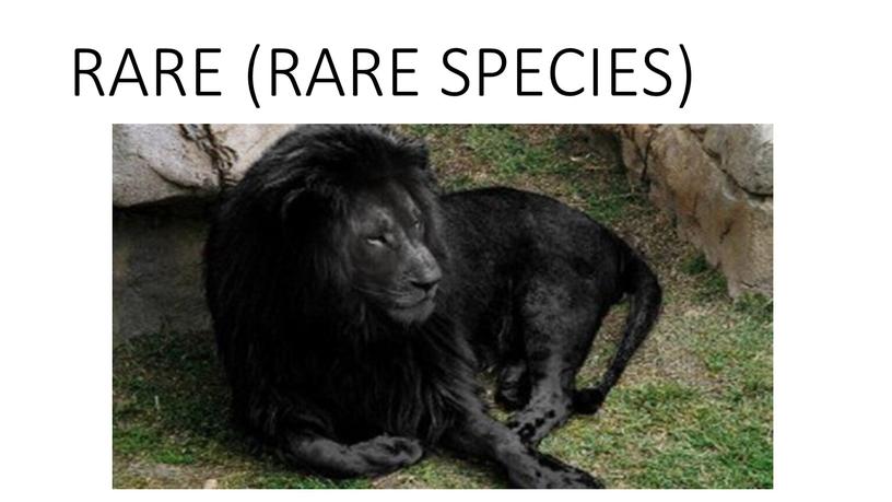 RARE (RARE SPECIES)