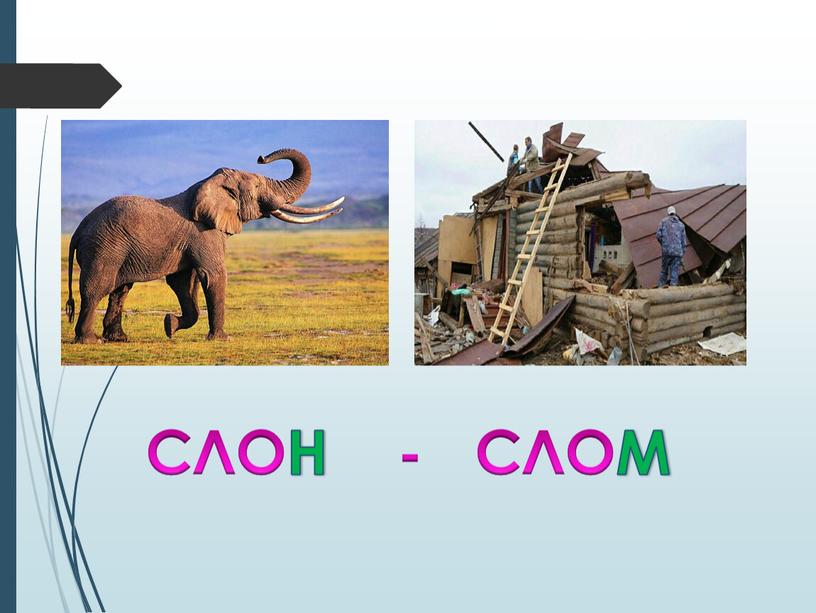 Послушай! СЛОН - СЛОМ