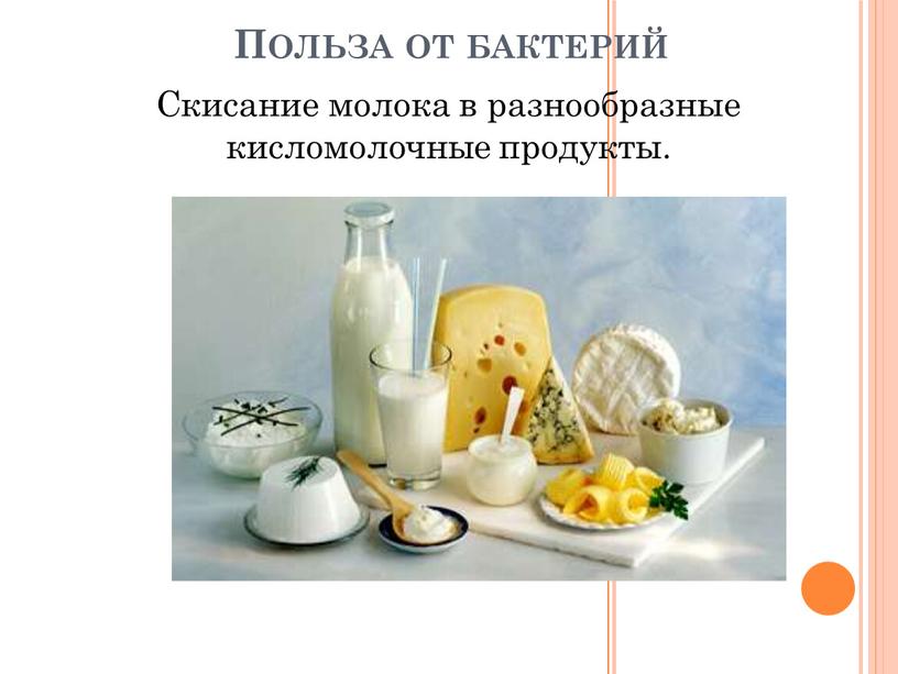 Польза от бактерий Скисание молока в разнообразные кисломолочные продукты