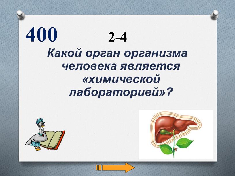 Какой орган организма человека является «химической лабораторией»? 400