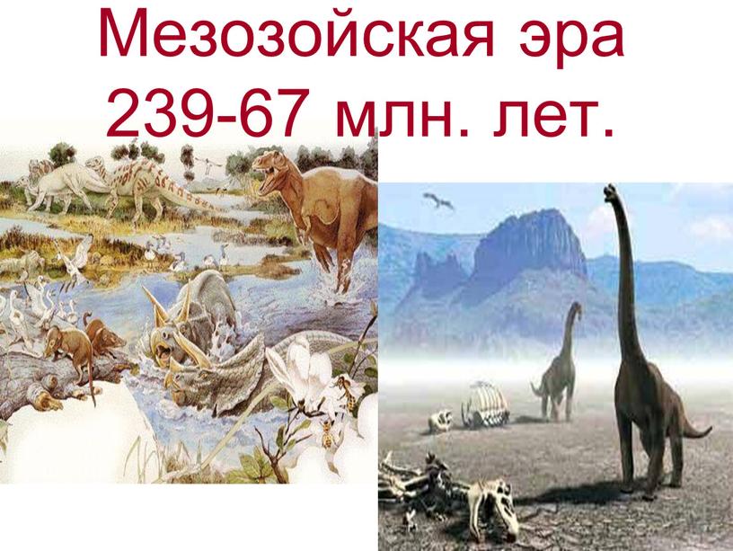 Мезозойская эра 239-67 млн. лет
