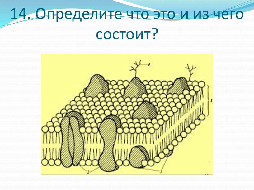 Определите что это и из чего состоит?