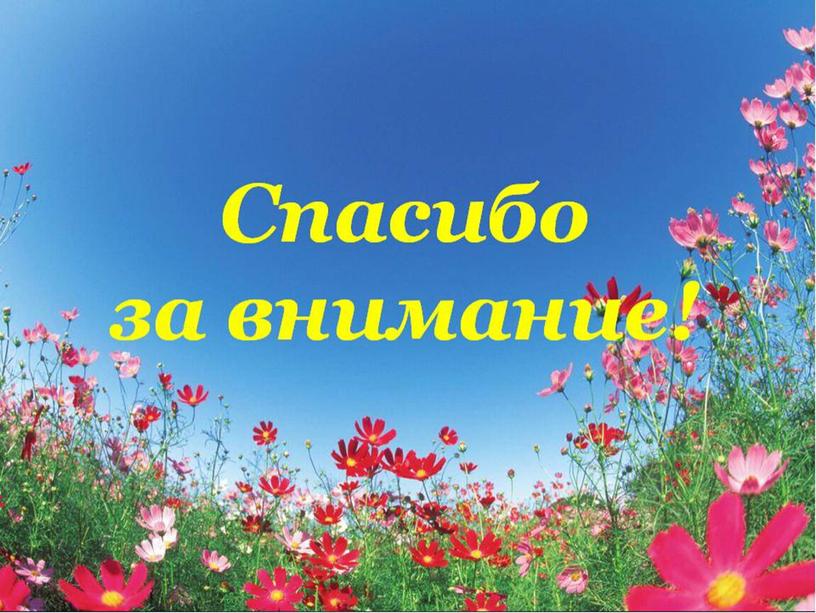 Презентация к  уроку  географии на тему "Северо - Запад России"