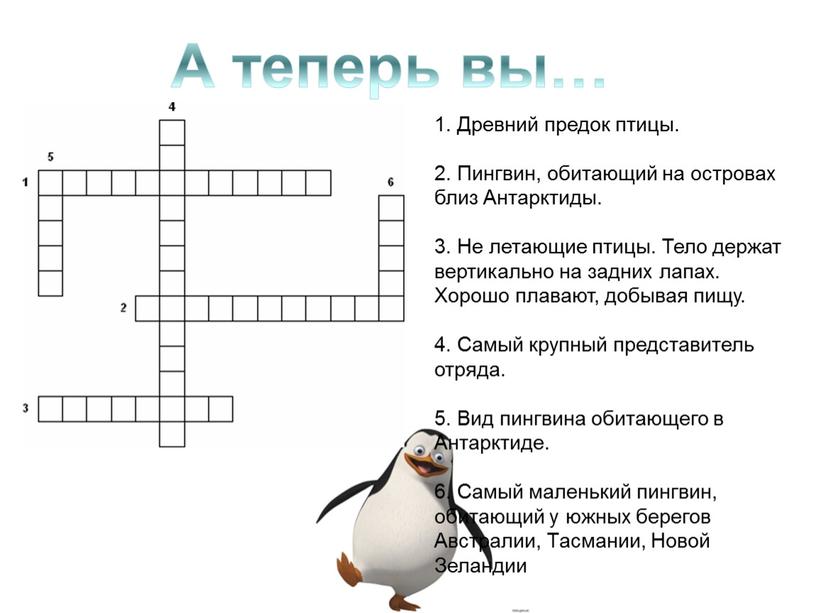 Древний предок птицы. 2. Пингвин, обитающий на островах близ