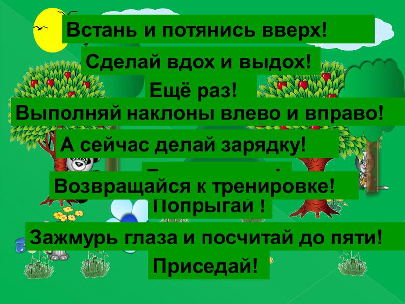 А сейчас делай зарядку! Встань и потянись вверх!