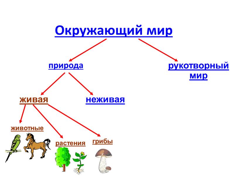 Окружающий мир природа рукотворный мир живая неживая грибы растения животные