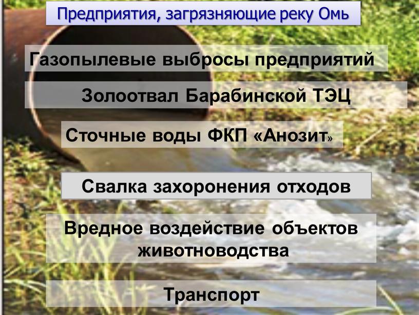 Золоотвал Барабинской ТЭЦ Газопылевые выбросы предприятий