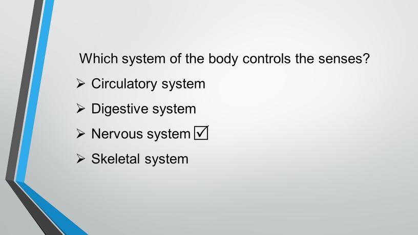 Which system of the body controls the senses?