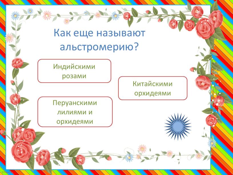 Как еще называют альстромерию?