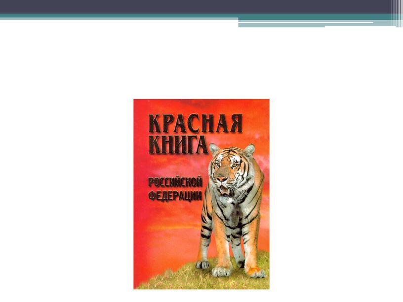 Презентация к уроку окружающего мира. Тема " Красная книга России. Правила поведения в природе."