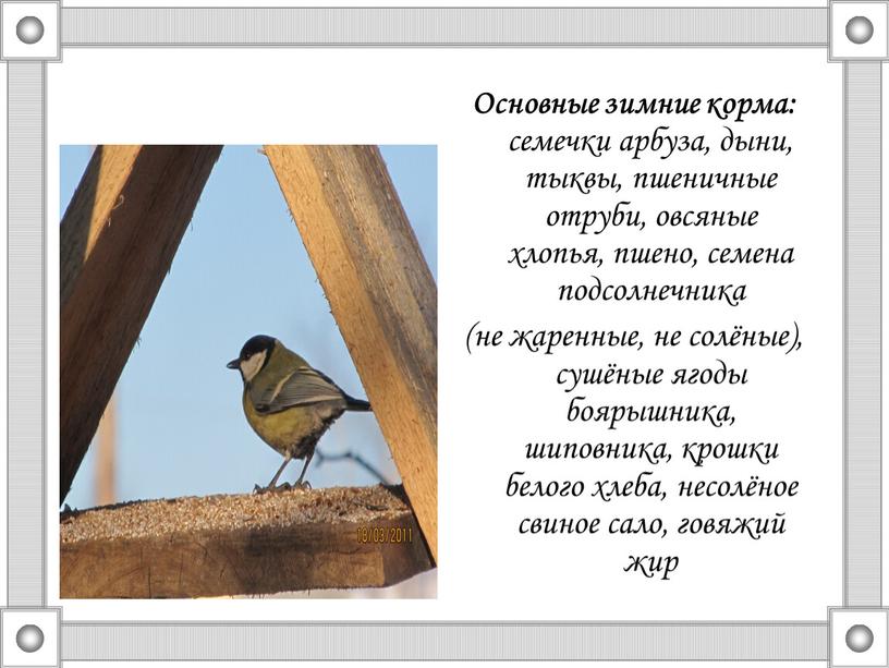 Основные зимние корма: семечки арбуза, дыни, тыквы, пшеничные отруби, овсяные хлопья, пшено, семена подсолнечника (не жаренные, не солёные), сушёные ягоды боярышника, шиповника, крошки белого хлеба,…