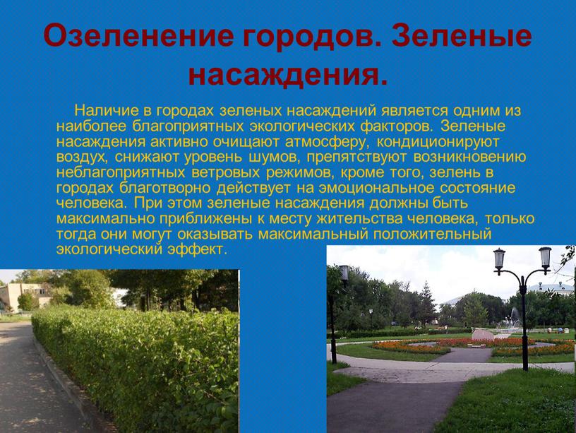 Озеленение городов. Зеленые насаждения