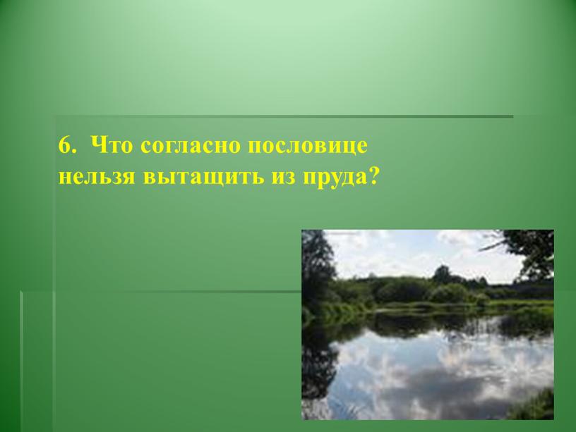 Что согласно пословице нельзя вытащить из пруда?