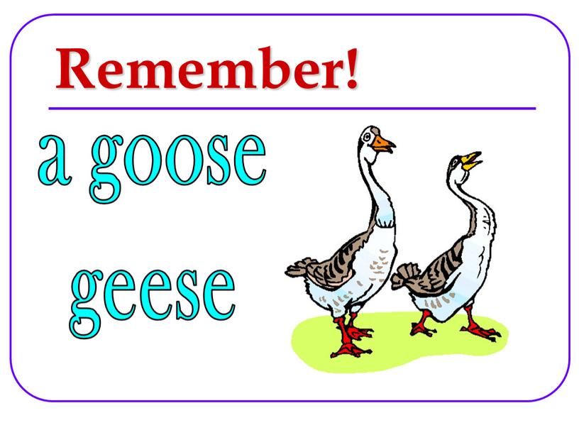 Remember! a goose geese