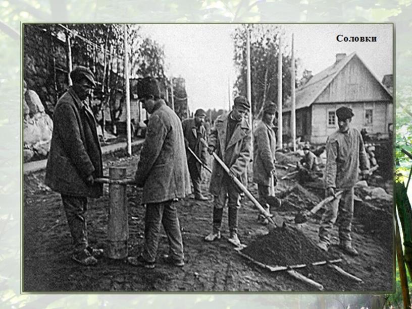 Д.С. Лихачов. Земля родна. Духовное завещание потомкам".