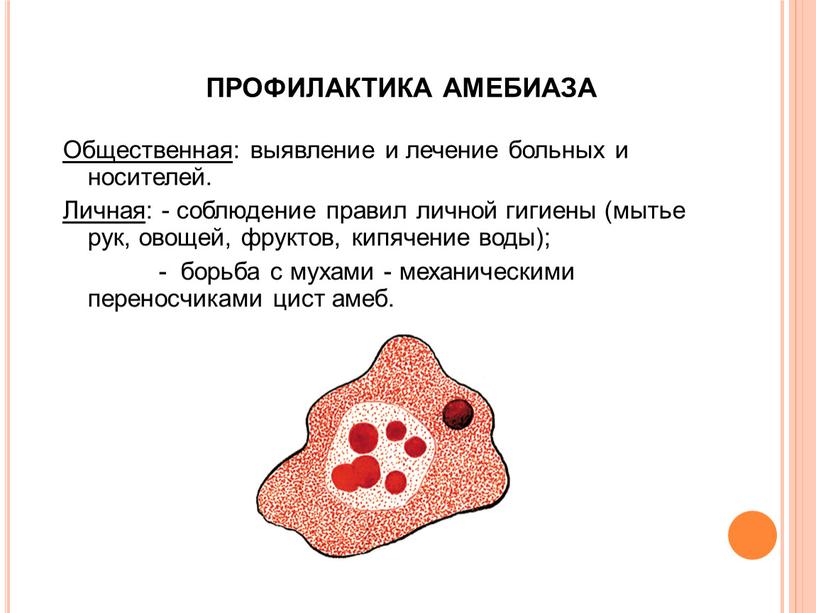 ПРОФИЛАКТИКА АМЕБИАЗА Общественная : выявление и лечение больных и носителей