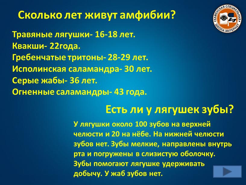 Травяные лягушки- 16-18 лет. Квакши- 22года