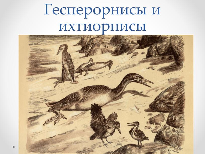 Гесперорнисы и ихтиорнисы