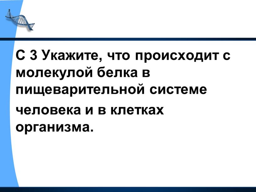 С 3 Укажите, что происходит с молекулой белка в пищеварительной системе человека и в клетках организма