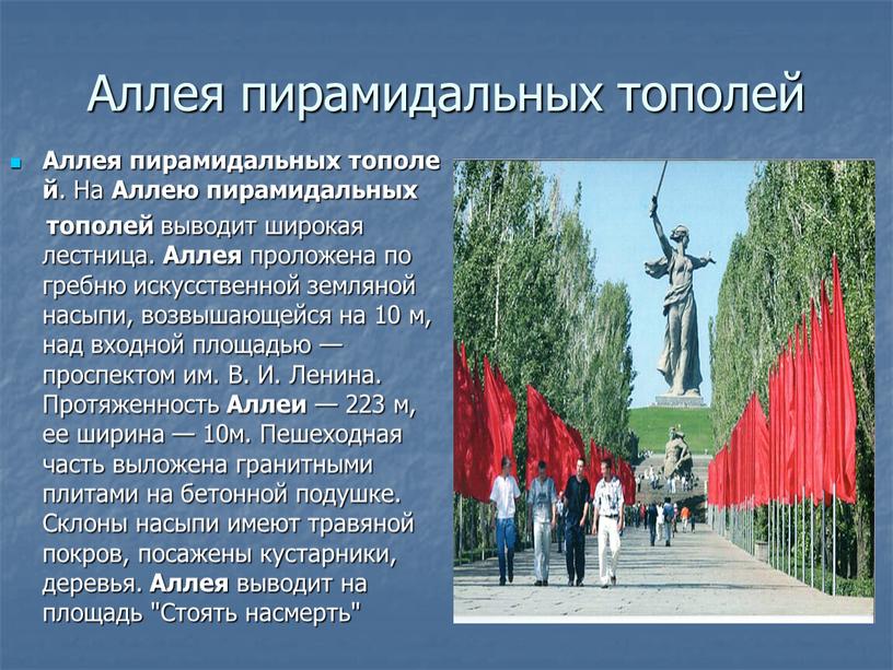 Аллея пирамидальных тополей Аллея пирамидальных тополей