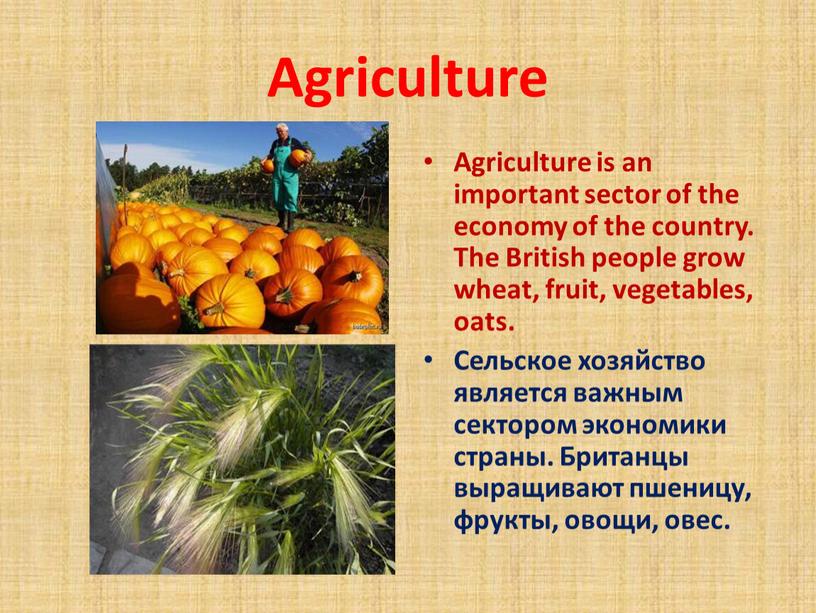 Agriculture Agriculture is an important sector of the economy of the country