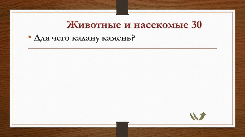 Животные и насекомые 30 Для чего калану камень?