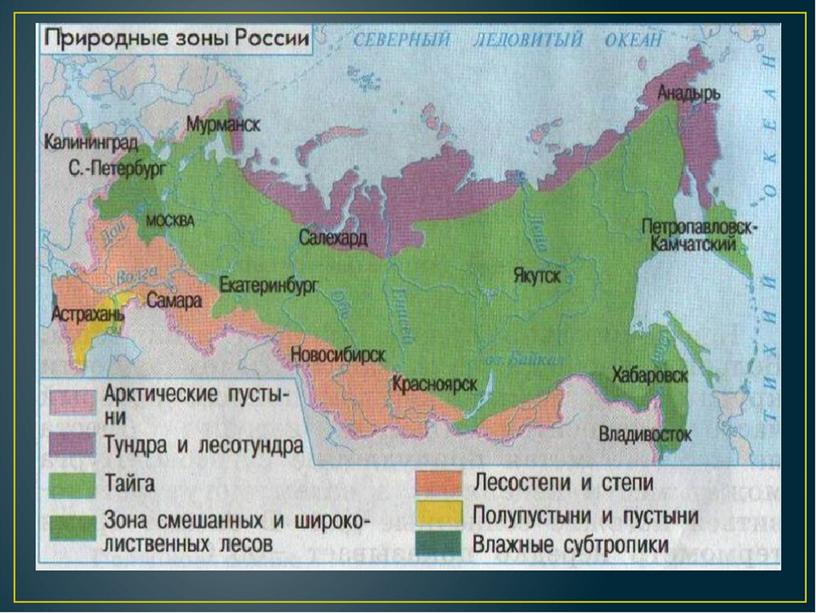 Природные зоны России