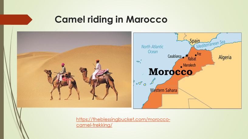 Camel riding in Marocco https://theblessingbucket