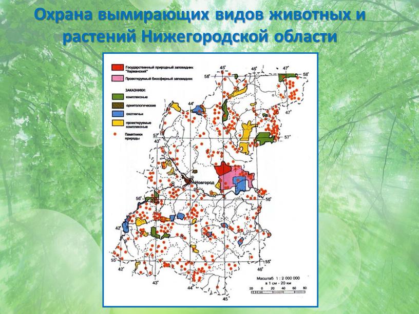 Охрана вымирающих видов животных и растений