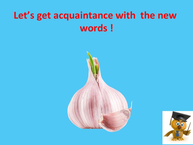 Let’s get acquaintance with the new words !