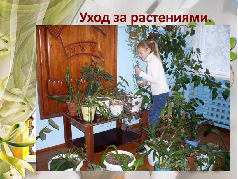 Уход за растениями .