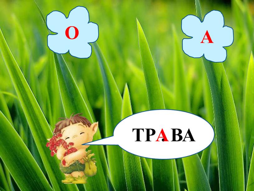 ТР . ВА О А А