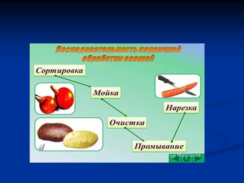 Презентация на тему: "Классификация овощей"