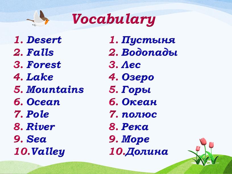 Vocabulary Desert Falls Forest