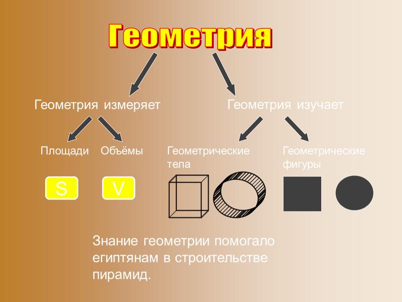 Геометрия измеряет Геометрия Геометрия изучает