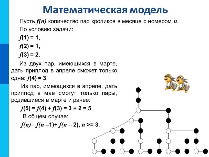 Математическая модель Пусть f(n) количество пар кроликов в месяце с номером n