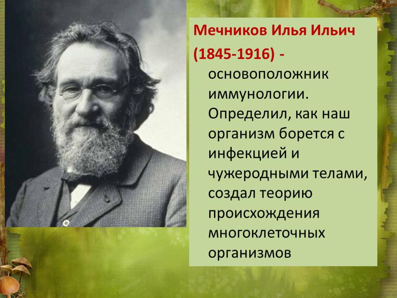 Мечников Илья Ильич (1845-1916) - основоположник иммунологии