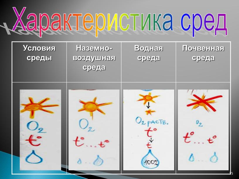 Характеристика сред Условия среды