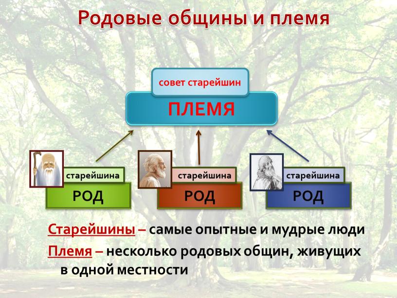 Родовые общины и племя Старейшины – самые опытные и мудрые люди