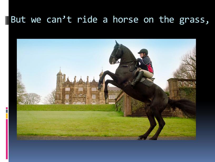 But we can’t ride a horse on the grass,