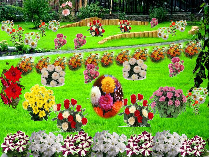 Исследовательская работа на тему: Создание проекта » Мой цветущий сад».