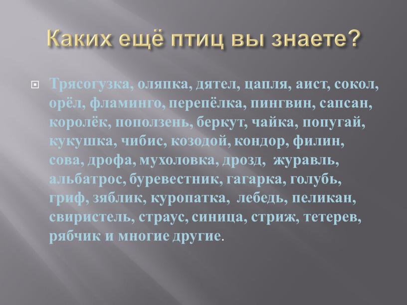 Каких ещё птиц вы знаете? Трясогузка, оляпка, дятел, цапля, аист, сокол, орёл, фламинго, перепёлка, пингвин, сапсан, королёк, поползень, беркут, чайка, попугай, кукушка, чибис, козодой, кондор,…