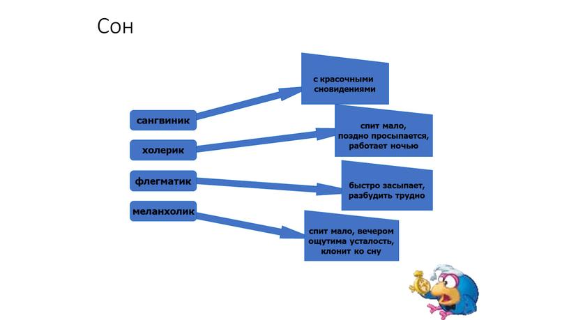 Сон сангвиник холерик флегматик меланхолик с красочными сновидениями спит мало, поздно просыпается, работает ночью спит мало, вечером ощутима усталость, клонит ко сну быстро засыпает, разбудить…