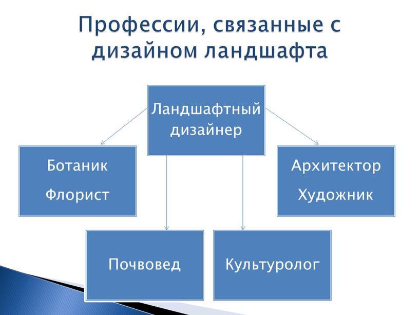 Профессии, связанные с дизайном ландшафта