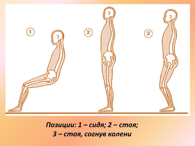 Позиции: 1 – сидя; 2 – стоя; 3 – стоя, согнув колени