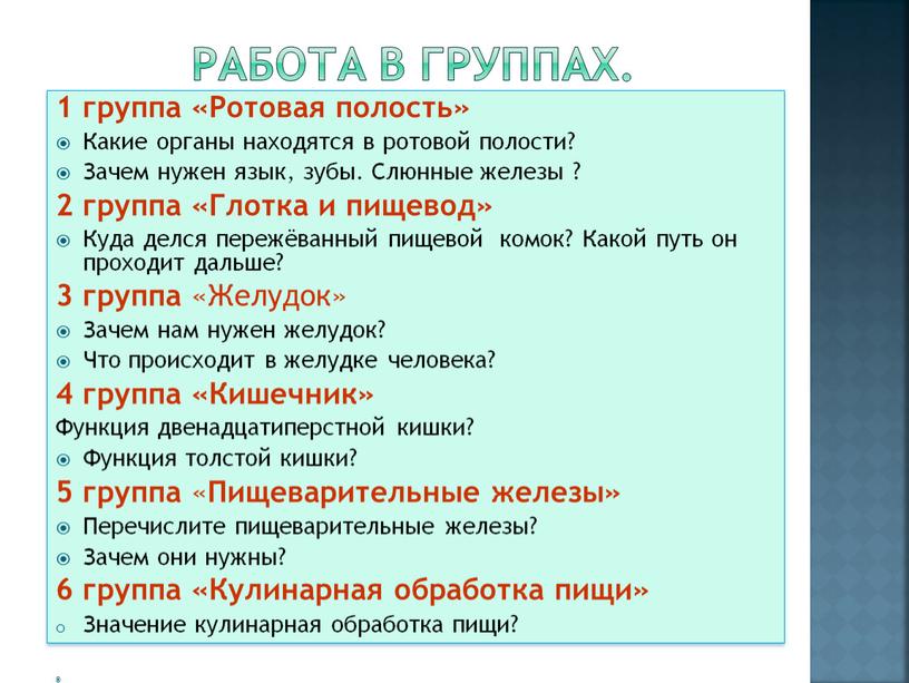 Работа в группах. 1 группа «Ротовая полость»